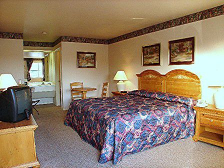 Lakeside Inn & Suites By Oyo Mathis I 37 Room photo
